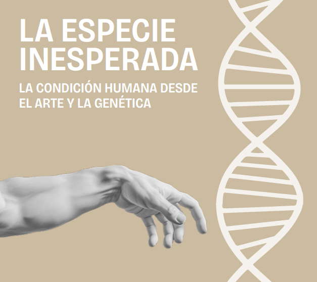 proyectos
